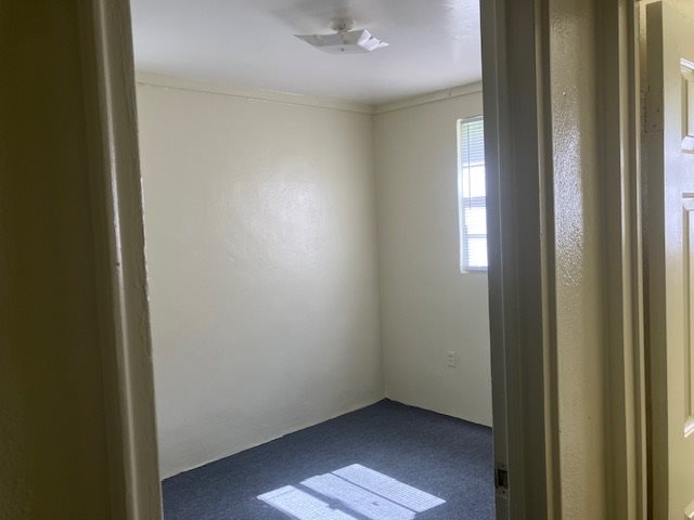 Gallery Photo 4